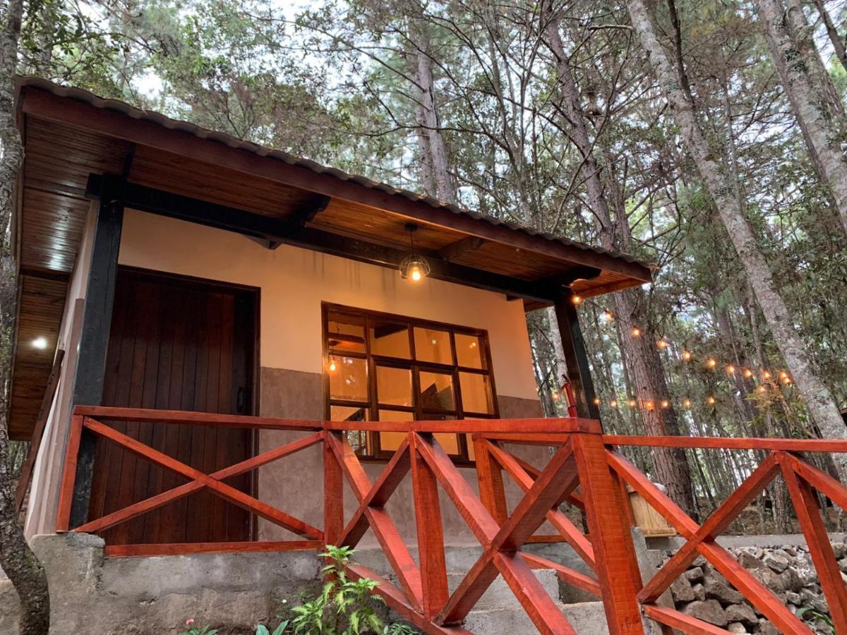 Cotan Ecolodge La Esperanza Luaran gambar