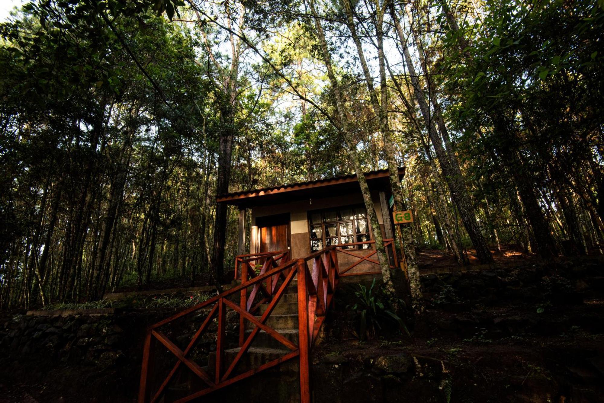 Cotan Ecolodge La Esperanza Luaran gambar
